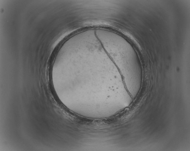 X0000067830983200604271550