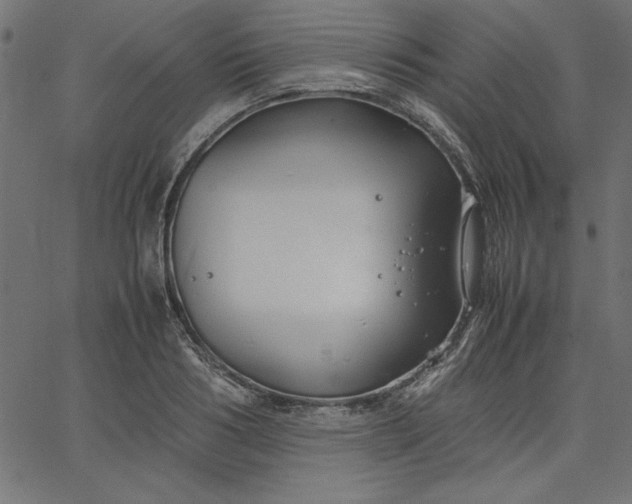 X0000067830986200604271550