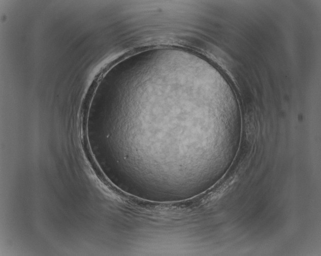 X0000067830987200604271550