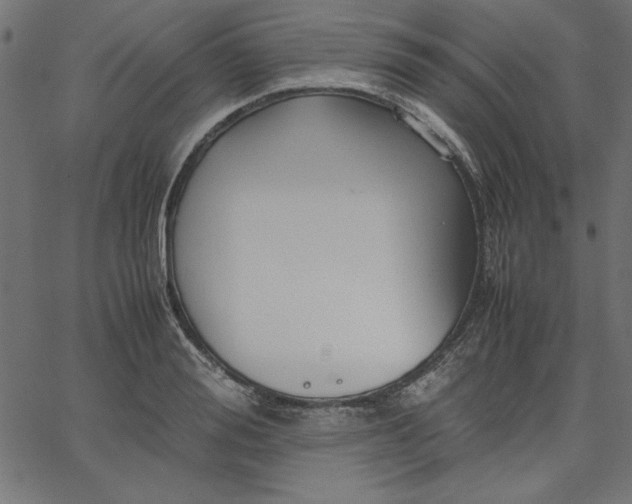 X0000067830988200604271550