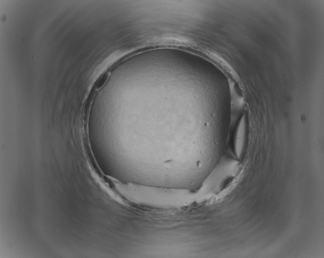 X0000067830989200604271550