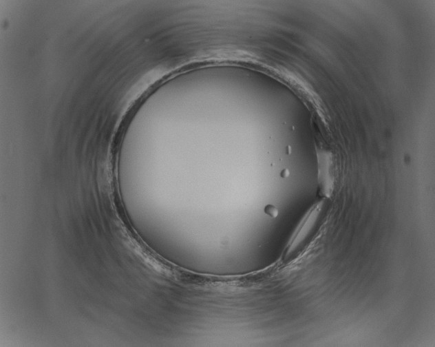 X0000067830990200604271550