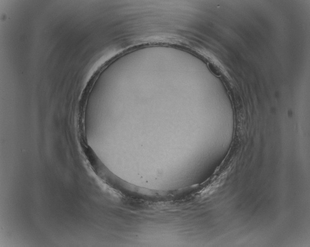 X0000067830991200604271550