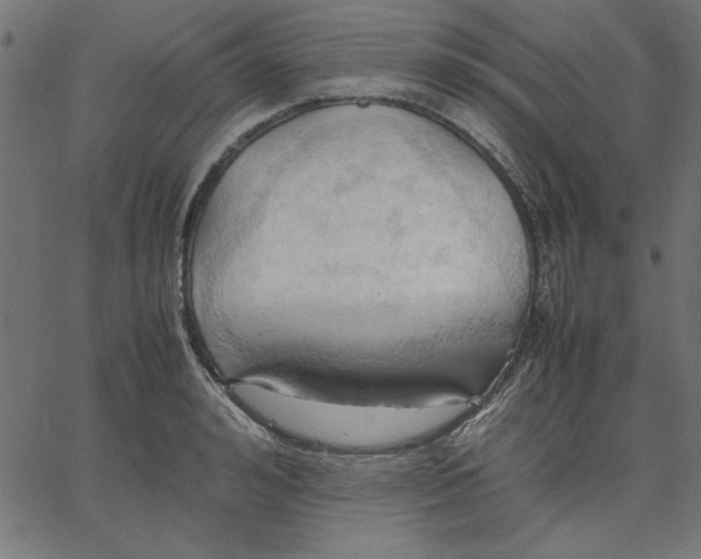 X0000067830992200604271550