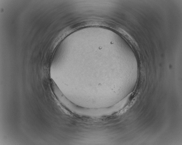 X0000067830993200604271550