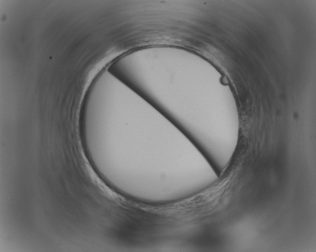 X0000067830995200604271550