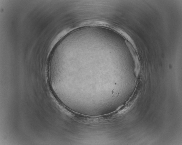 X0000067830997200604271550