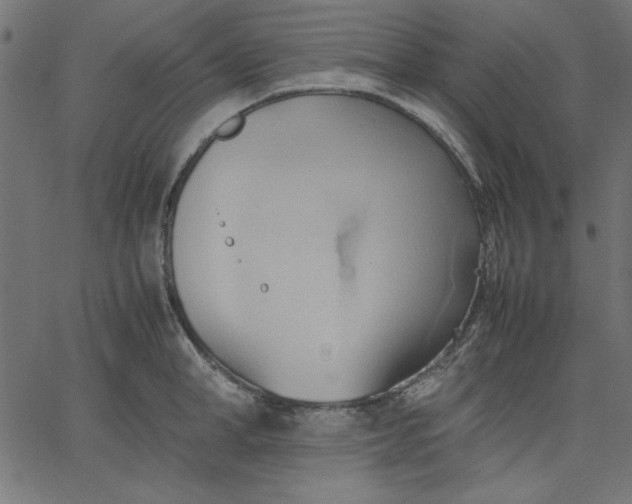 X0000067830998200604271550