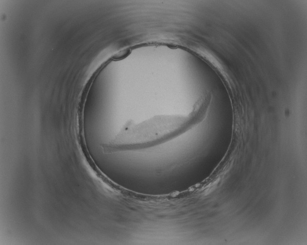 X0000067830999200604271550