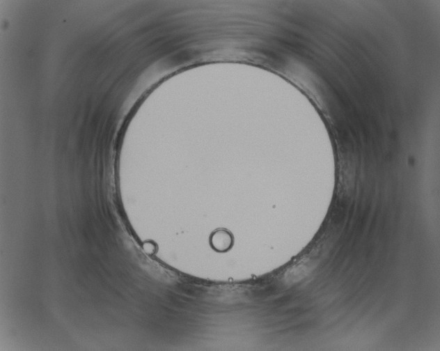 X0000067831000200604271550