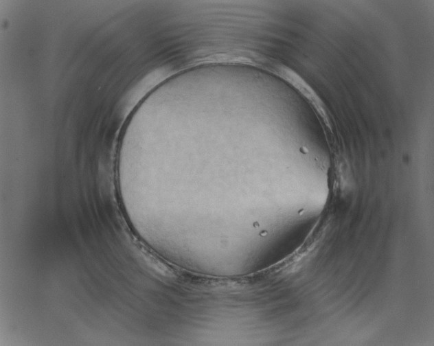 X0000067831002200604271550