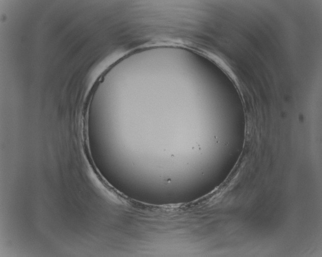 X0000067831003200604271549