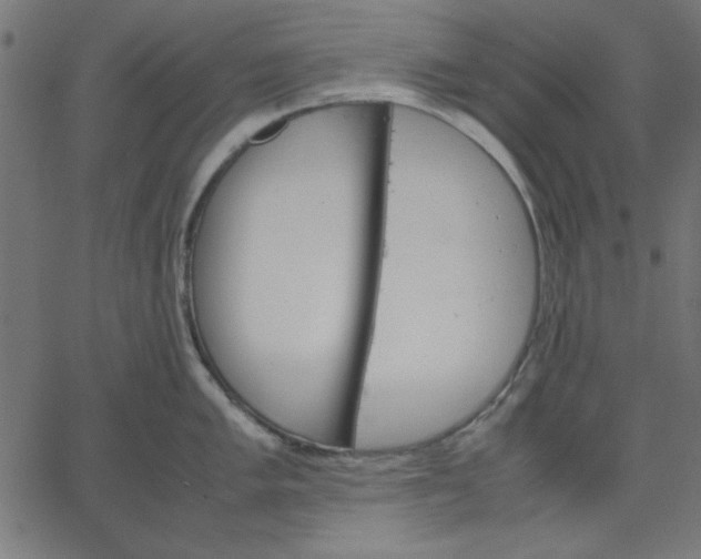 X0000067831005200604271549