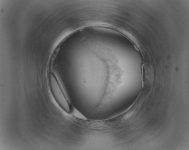 X0000067831007200604271549