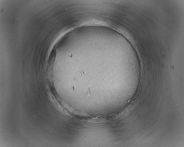 X0000067831008200604271549