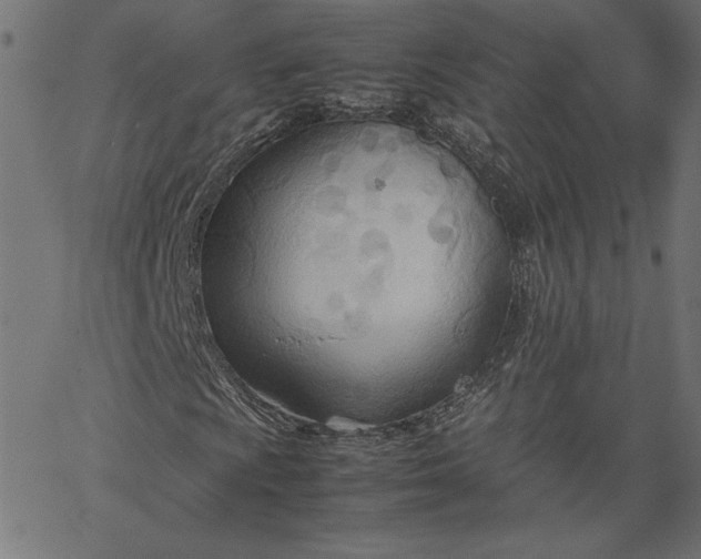 X0000067831009200604271549