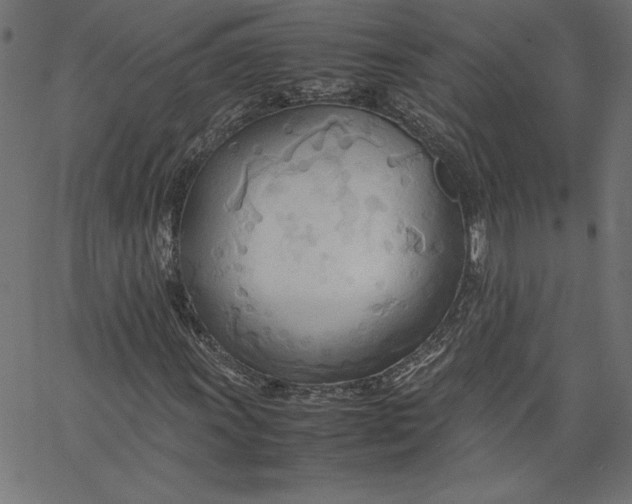 X0000067831011200604271549