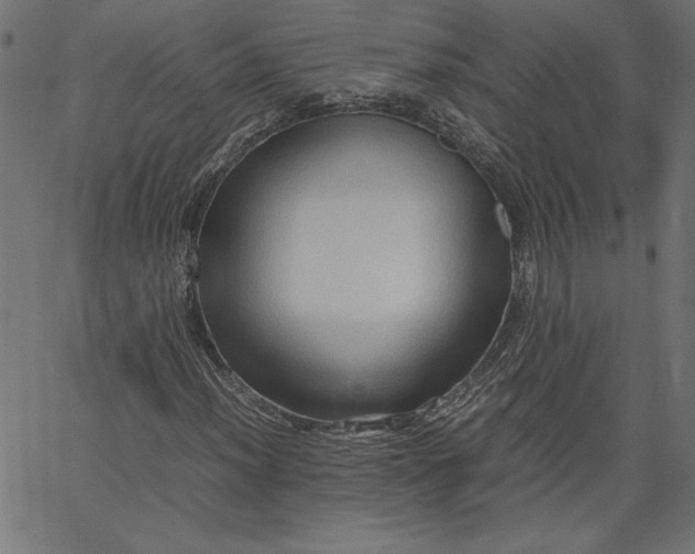 X0000067831012200604271549