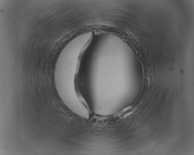 X0000067831014200604271549