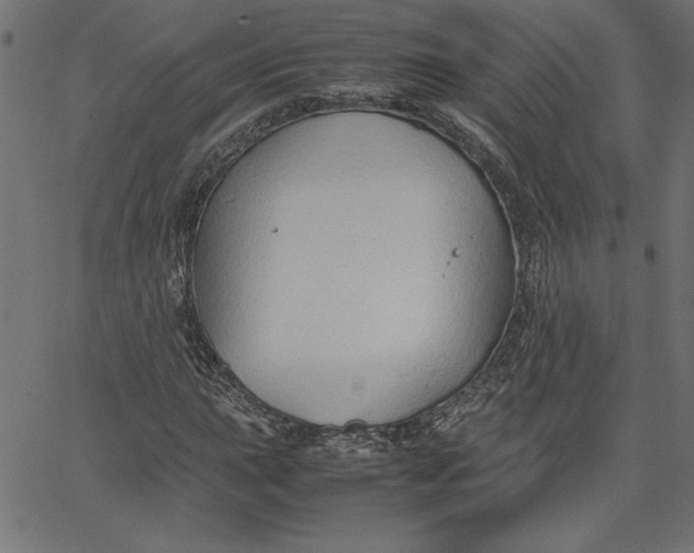 X0000067831015200604271549