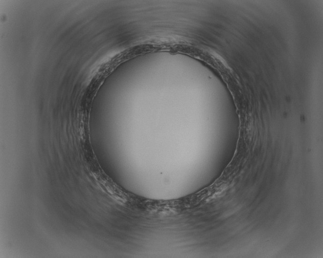 X0000067831016200604271549