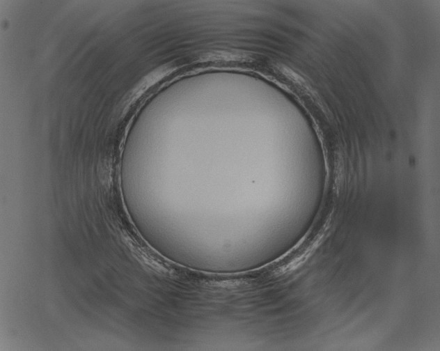 X0000067831017200604271549