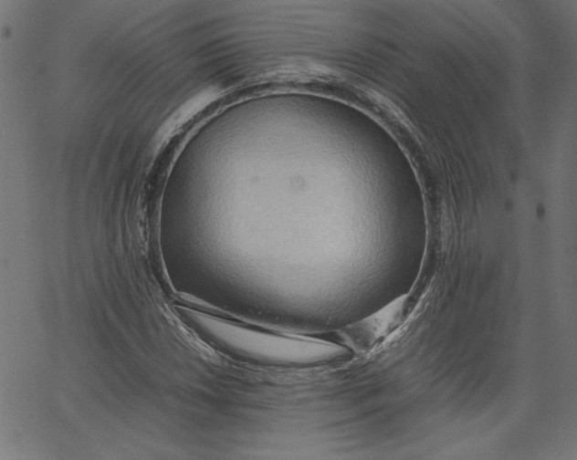 X0000067831018200604271549