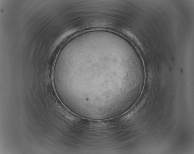 X0000067831019200604271549