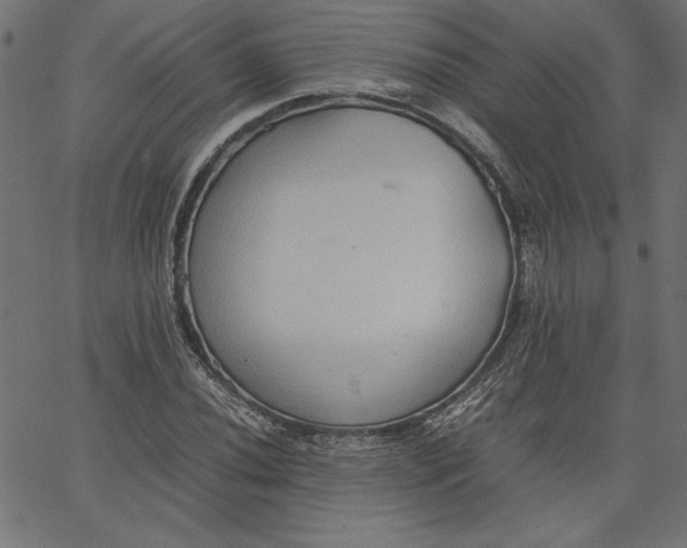 X0000067831020200604271549