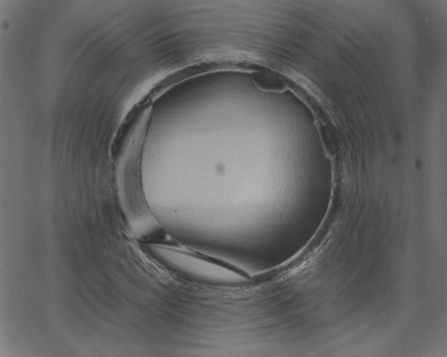 X0000067831022200604271549