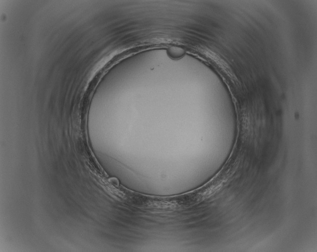 X0000067831023200604271549