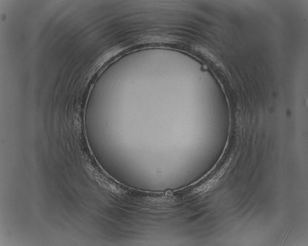 X0000067831025200604271549