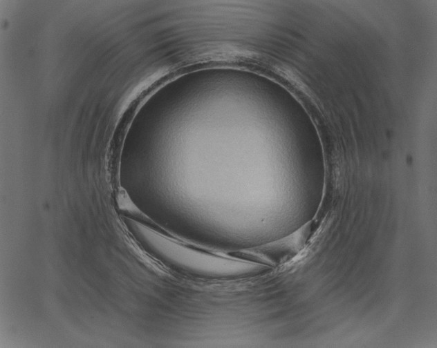 X0000067831026200604271549