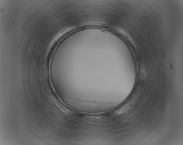 X0000067831027200604271549