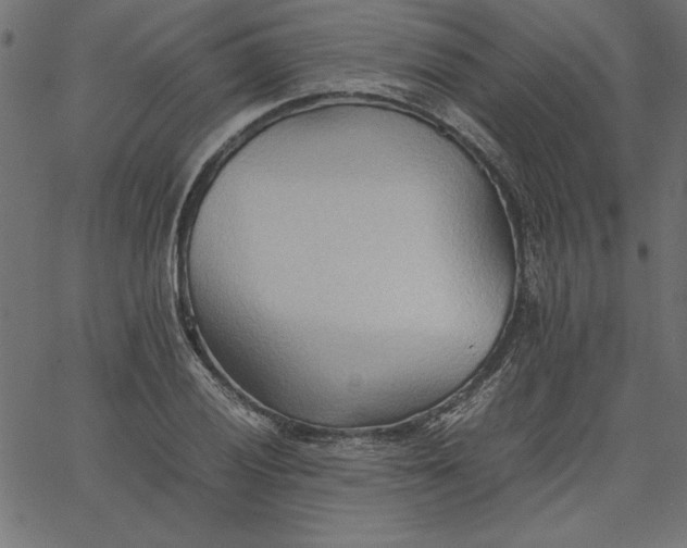 X0000067831028200604271549