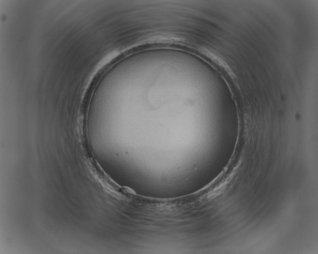 X0000067831029200604271549