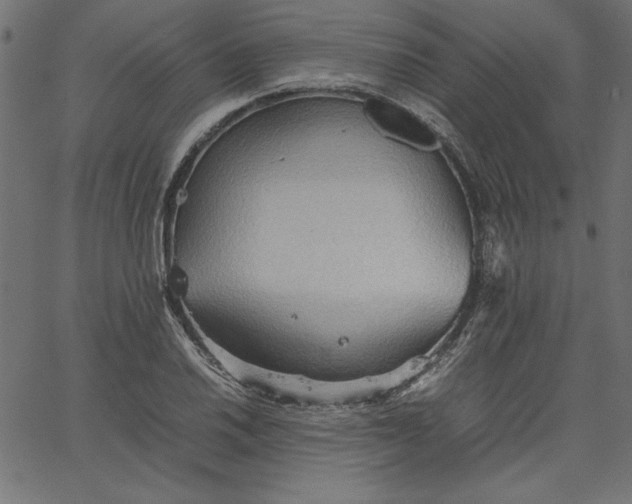 X0000067831030200604271549