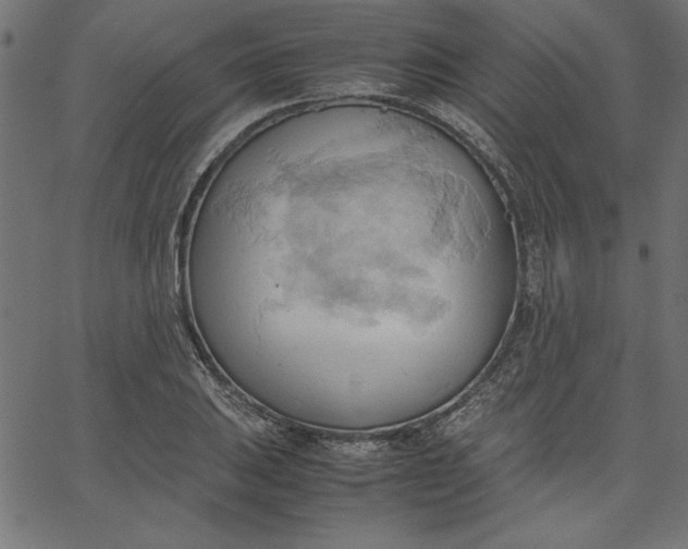 X0000067831031200604271549