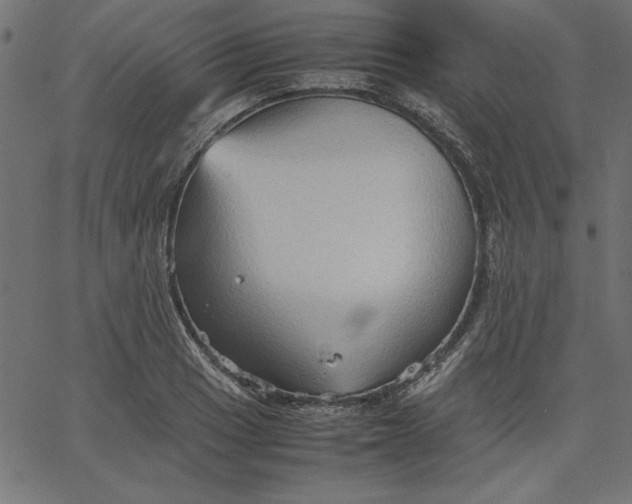 X0000067831033200604271549