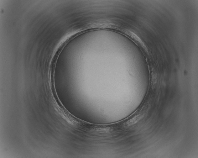 X0000067831035200604271549