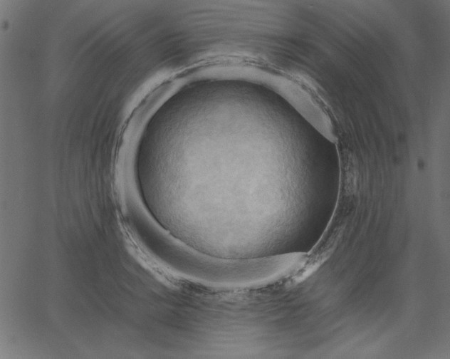 X0000067831038200604271549