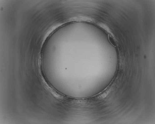 X0000067831040200604271549