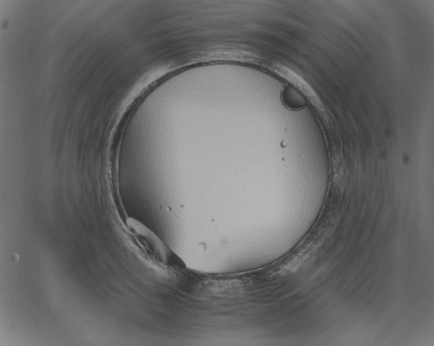 X0000067831043200604271549