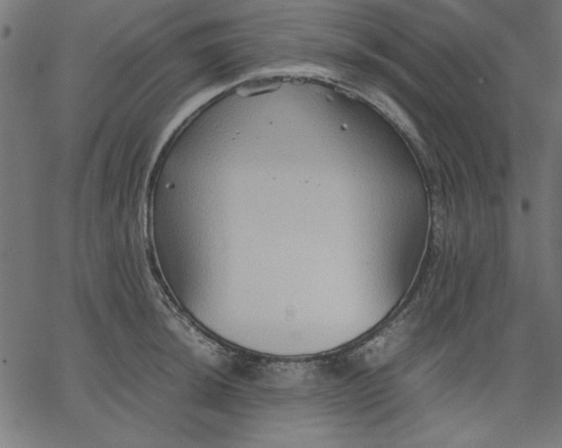 X0000067831044200604271549