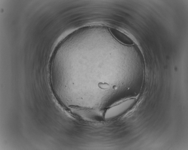 X0000067831045200604271549