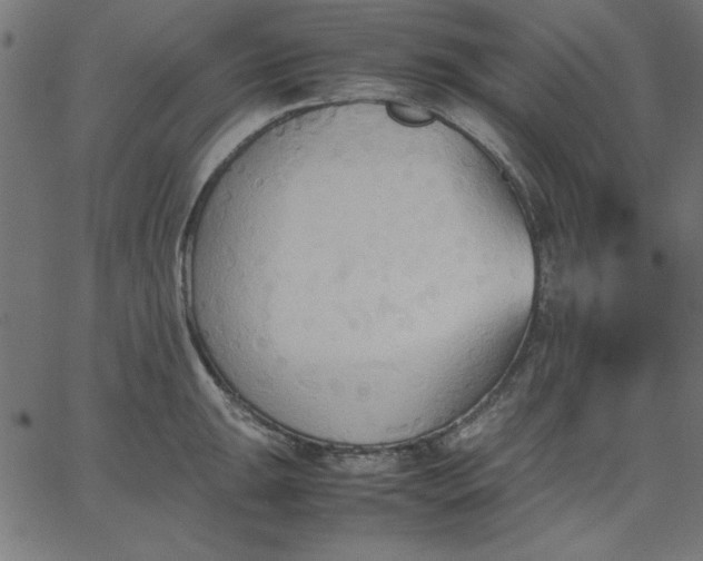 X0000067831047200604271549