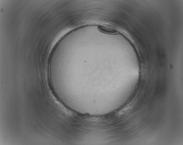 X0000067831048200604271549