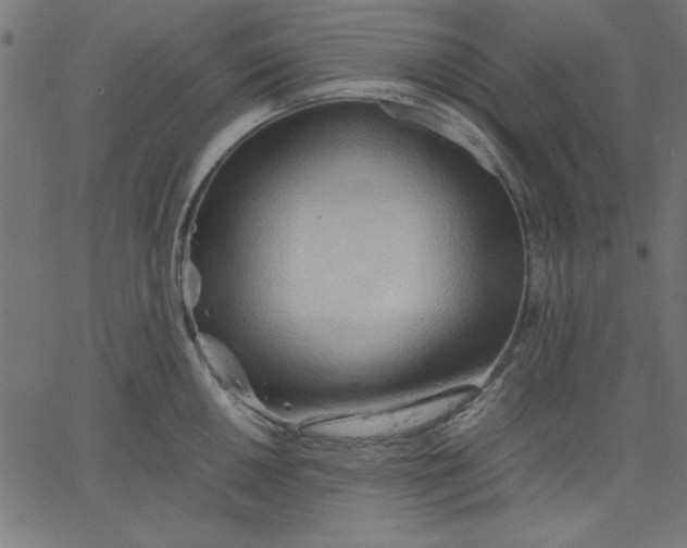 X0000067831050200604271549