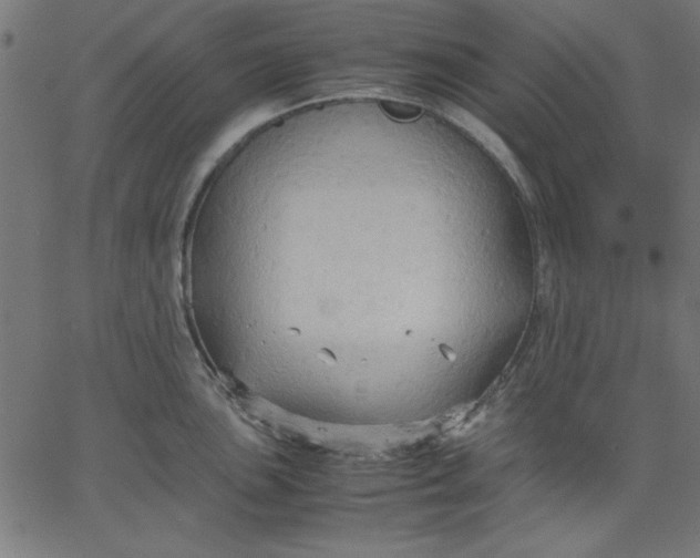 X0000067831051200604271549