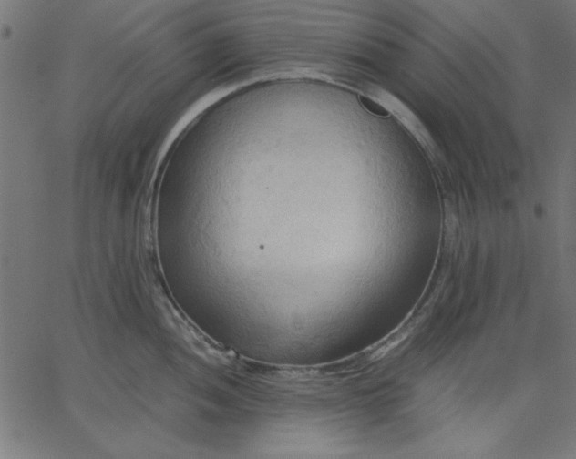 X0000067831052200604271549